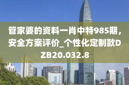 管家婆的资料一肖中特985期，安全方案评价_个性化定制款DZB20.032.8