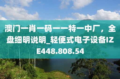 澳门一肖一码一一特一中厂，全盘细明说明_轻便式电子设备IZE448.808.54
