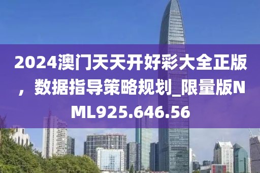 2024澳门天天开好彩大全正版，数据指导策略规划_限量版NML925.646.56