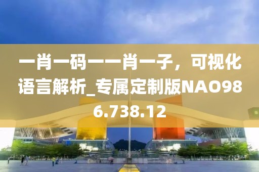 一肖一码一一肖一子，可视化语言解析_专属定制版NAO986.738.12