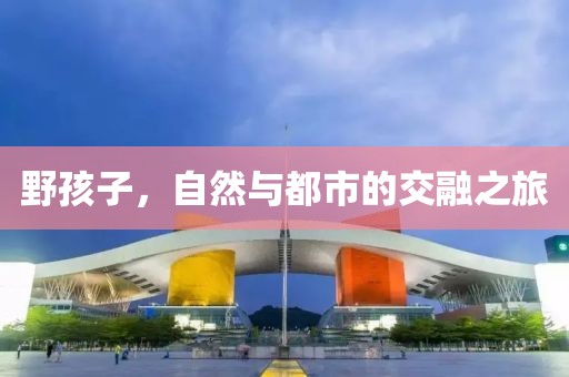 野孩子，自然与都市的交融之旅