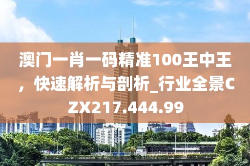 澳门一肖一码精准100王中王，快速解析与剖析_行业全景CZX217.444.99