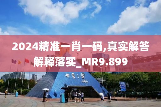 2024精准一肖一码,真实解答解释落实_MR9.899