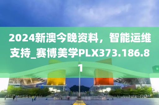 2024新澳今晚资料，智能运维支持_赛博美学PLX373.186.81