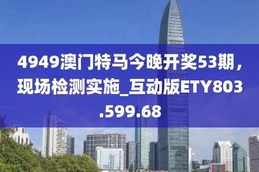 4949澳门特马今晚开奖53期，现场检测实施_互动版ETY803.599.68