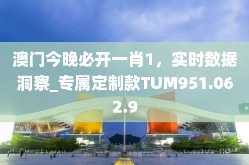 澳门今晚必开一肖1，实时数据洞察_专属定制款TUM951.062.9
