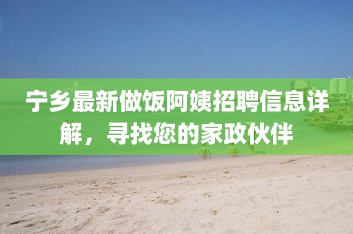 宁乡最新做饭阿姨招聘信息详解，寻找您的家政伙伴