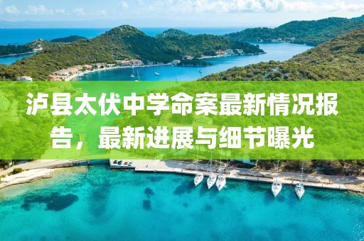 泸县太伏中学命案最新情况报告，最新进展与细节曝光