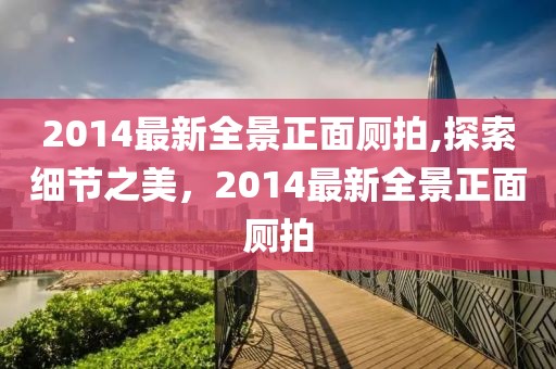 2014最新全景正面厕拍,探索细节之美，2014最新全景正面厕拍