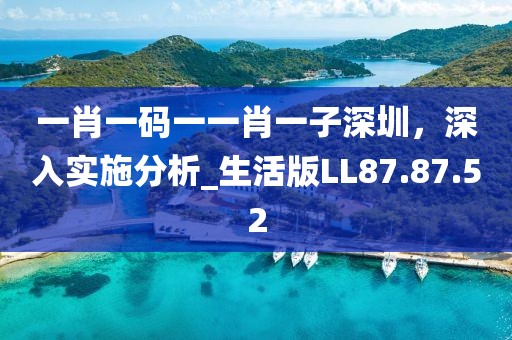一肖一码一一肖一子深圳，深入实施分析_生活版LL87.87.52