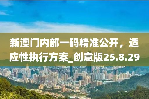 新澳门内部一码精准公开，适应性执行方案_创意版25.8.29