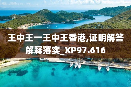 王中王一王中王香港,证明解答解释落实_XP97.616