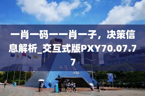 一肖一码一一肖一子，决策信息解析_交互式版PXY70.07.77