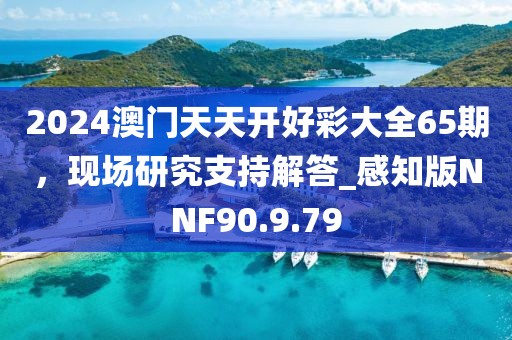 2024澳门天天开好彩大全65期，现场研究支持解答_感知版NNF90.9.79