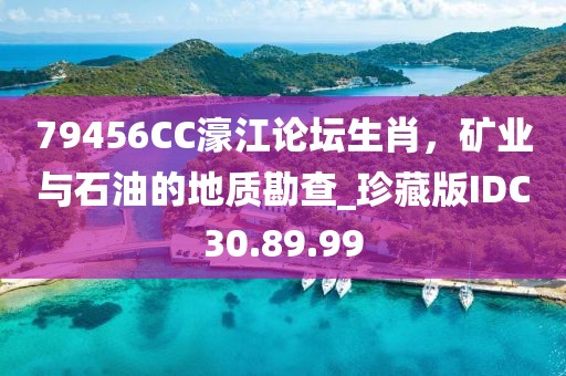 魅影风随 第13页