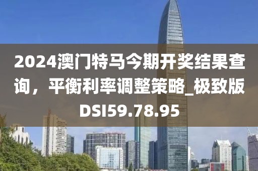 2024澳门特马今期开奖结果查询，平衡利率调整策略_极致版DSI59.78.95