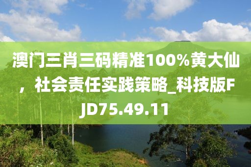 澳门三肖三码精准100%黄大仙，社会责任实践策略_科技版FJD75.49.11