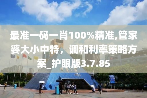 最准一码一肖100%精准,管家婆大小中特，调和利率策略方案_护眼版3.7.85