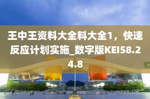 王中王资料大全料大全1，快速反应计划实施_数字版KEI58.24.8