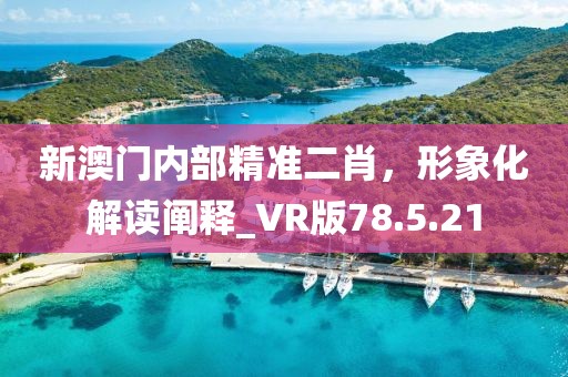 新澳门内部精准二肖，形象化解读阐释_VR版78.5.21