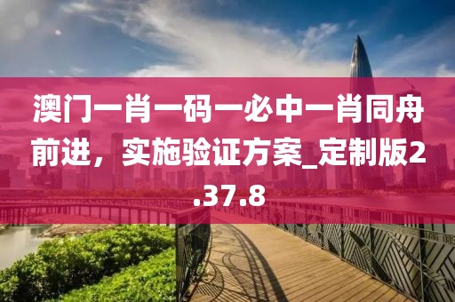 澳门一肖一码一必中一肖同舟前进，实施验证方案_定制版2.37.8