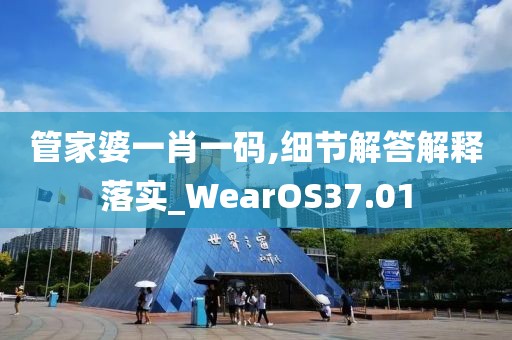 管家婆一肖一码,细节解答解释落实_WearOS37.01