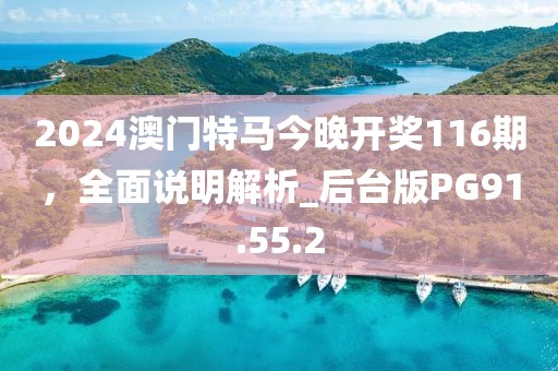2024澳门特马今晚开奖116期，全面说明解析_后台版PG91.55.2