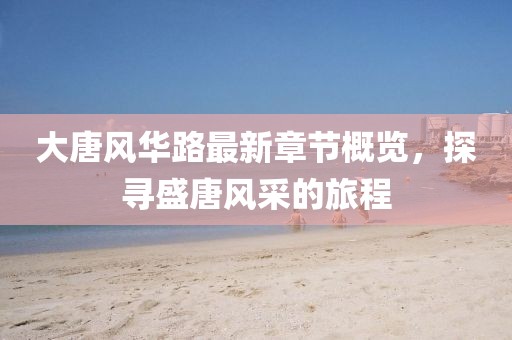 大唐风华路最新章节概览，探寻盛唐风采的旅程