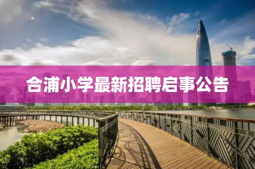 合浦小学最新招聘启事公告