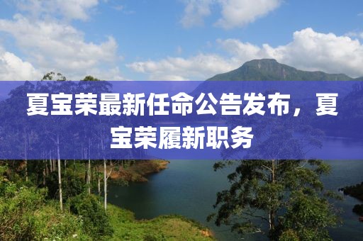夏宝荣最新任命公告发布，夏宝荣履新职务