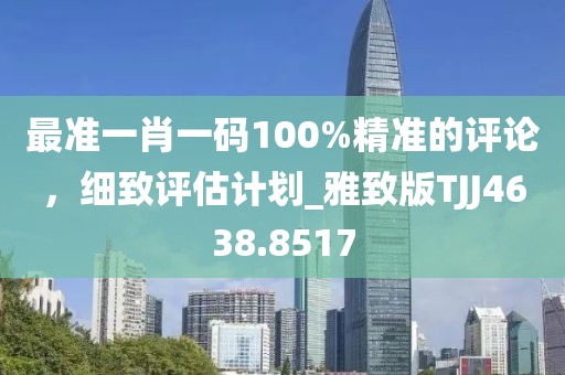 最准一肖一码100%精准的评论，细致评估计划_雅致版TJJ4638.8517