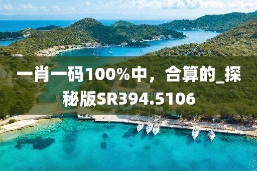 一肖一码100%中，合算的_探秘版SR394.5106