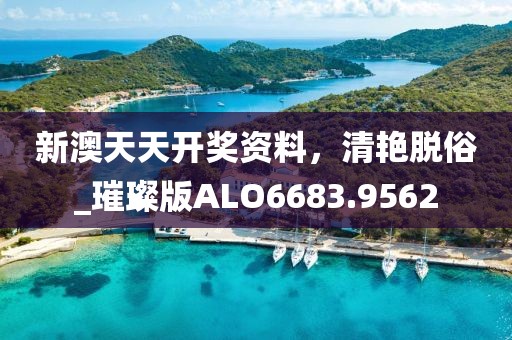 新澳天天开奖资料，清艳脱俗_璀璨版ALO6683.9562