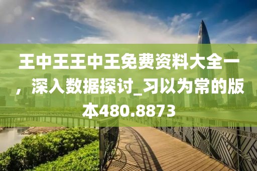 王中王王中王免费资料大全一，深入数据探讨_习以为常的版本480.8873