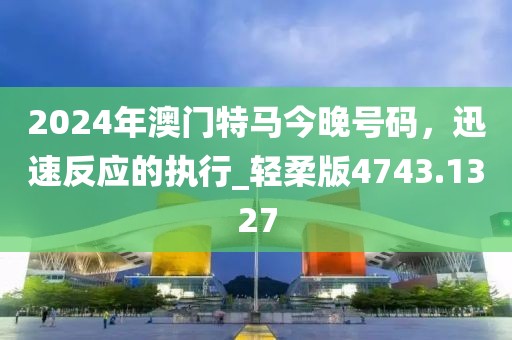 2024年澳门特马今晚号码，迅速反应的执行_轻柔版4743.1327