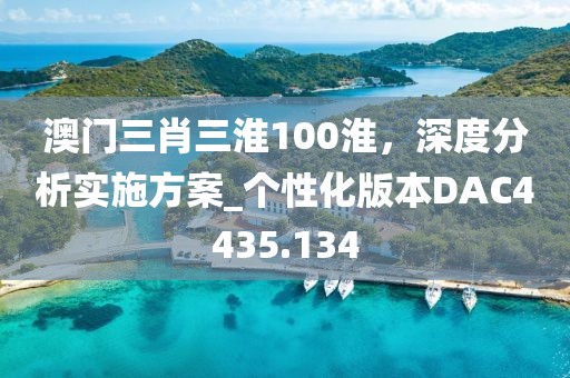 澳门三肖三淮100淮，深度分析实施方案_个性化版本DAC4435.134