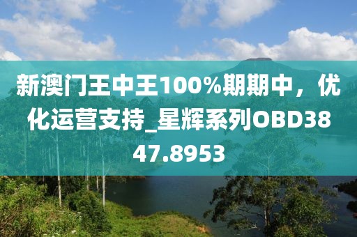 新澳门王中王100%期期中，优化运营支持_星辉系列OBD3847.8953