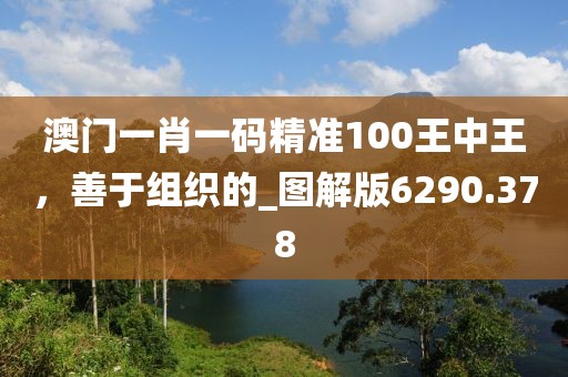 澳门一肖一码精准100王中王，善于组织的_图解版6290.378