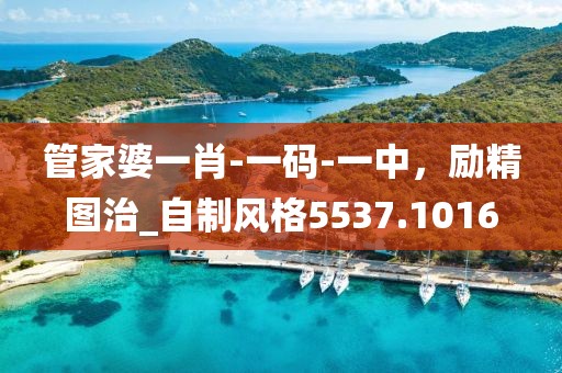 管家婆一肖-一码-一中，励精图治_自制风格5537.1016