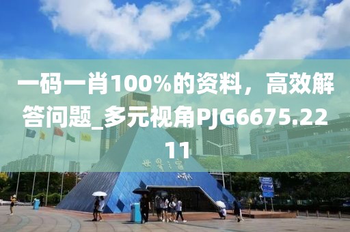 一码一肖100%的资料，高效解答问题_多元视角PJG6675.2211