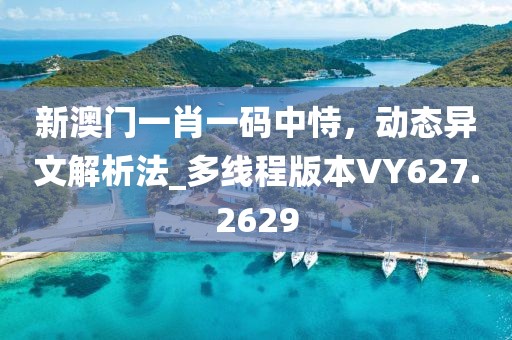 新澳门一肖一码中恃，动态异文解析法_多线程版本VY627.2629