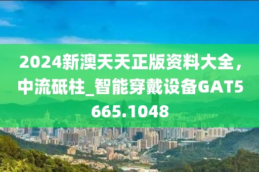 2024新澳天天正版资料大全，中流砥柱_智能穿戴设备GAT5665.1048