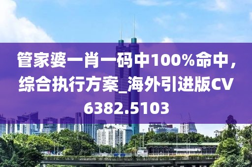管家婆一肖一码中100%命中，综合执行方案_海外引进版CV6382.5103