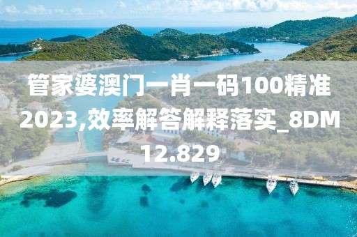 管家婆澳门一肖一码100精准2023,效率解答解释落实_8DM12.829