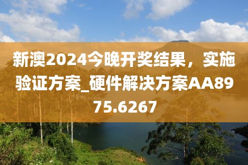 新澳2024今晚开奖结果，实施验证方案_硬件解决方案AA8975.6267