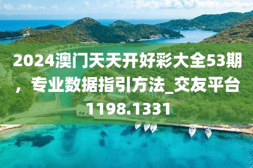 2024澳门天天开好彩大全53期，专业数据指引方法_交友平台1198.1331