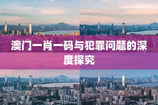 澳门一肖一码与犯罪问题的深度探究