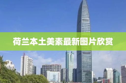 荷兰本土美素最新图片欣赏