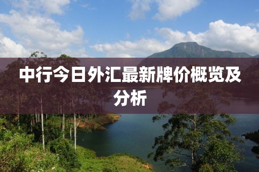 中行今日外汇最新牌价概览及分析