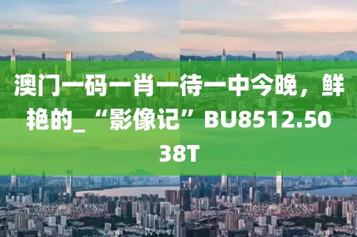 澳门一码一肖一待一中今晚，鲜艳的_“影像记”BU8512.5038T